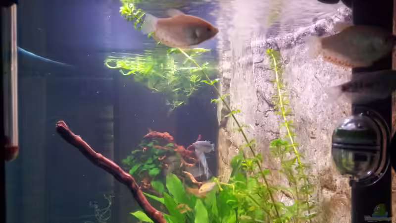 An der Nordsee küste .... von Gokel79 (8)