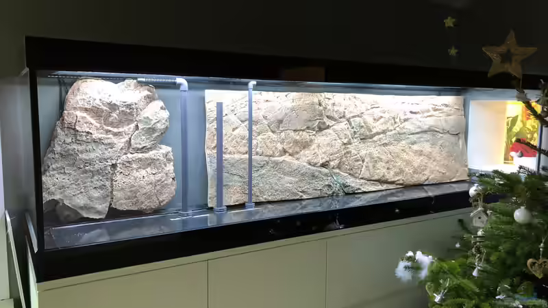 An Weihnachten habe ich die 3D Rückwand ins Aquarium gelegt, damit ich sehen kann von Hippopotan (15)