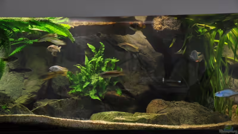 Anaicht Neu 24.10.2010 linke Hälfte von Crenii (3)