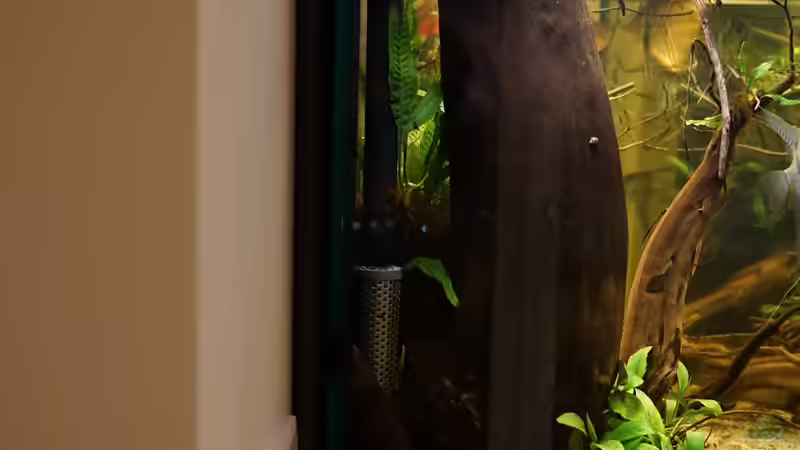 Anblick von links mit Sicht auf die Rohrleitungen hinter dem Becken, außerdem ist von Jonas B. (36)