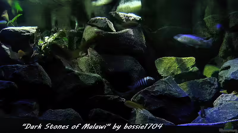 Anblick von unten... von bossie1704 (32)