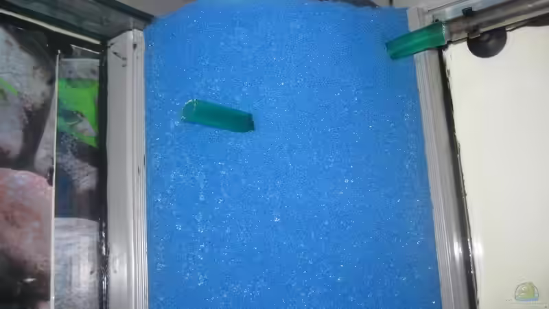 anbringen der auslasschläuche von Tiburón (37)