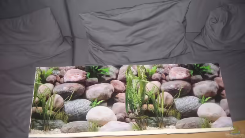 anbringung der fotofolie an die platte für die hintere längsscheibe von Tiburón (30)