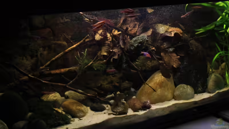 Andere Ansicht vom 22.12.2013 von Florian Bandhauer (6)