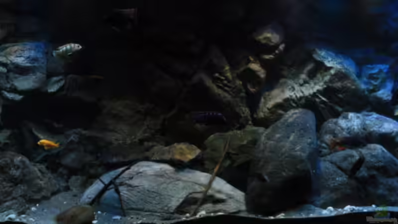 Andere Lichteindrücke gesteuert mit Sunaeco von Florian Bandhauer (11)