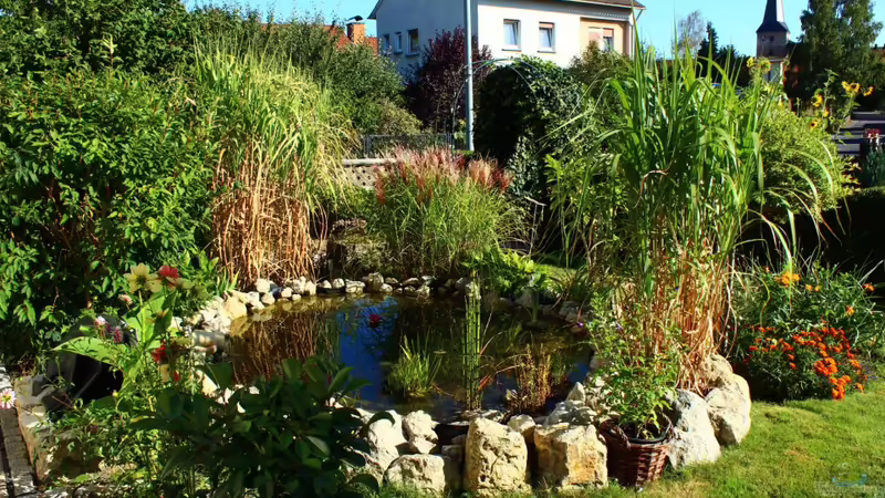 andere Perspektive  von Sergio10 (3)