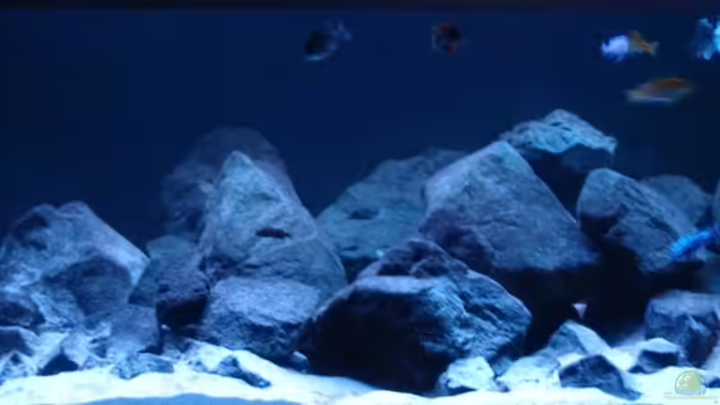 Anderer Beleuchtungsmodus von Cariba (4)