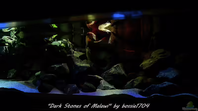 Anderer Blickwinkel Sonnenaufgang von bossie1704 (17)