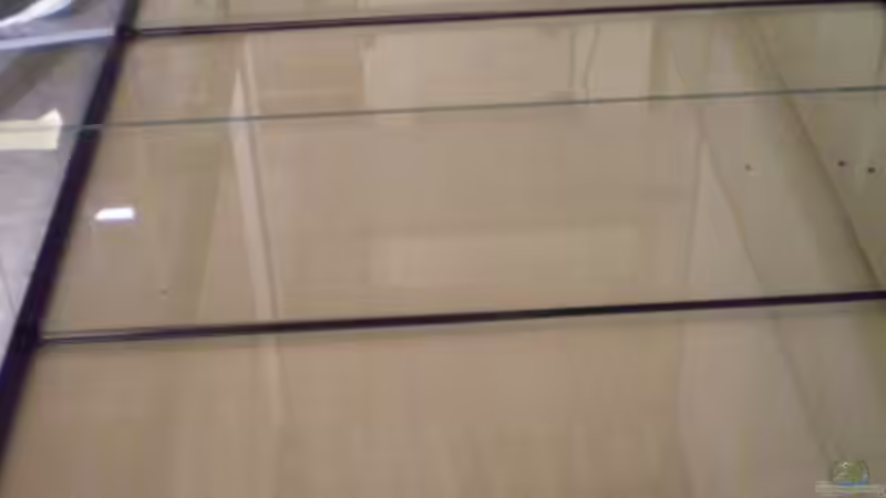 Anfang 2 Terassen von Kulleraugen-Fan (3)