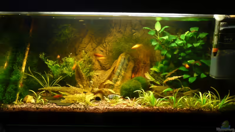 Anfang 2013 von Aqualady (2)