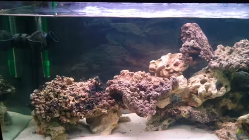 Anfang 25.05.2012 Links von Dirk Schäfer (4)