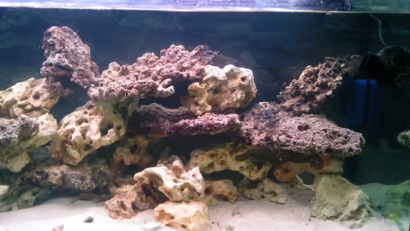 Anfang 25.05.2012 Rechts von Dirk Schäfer (3)