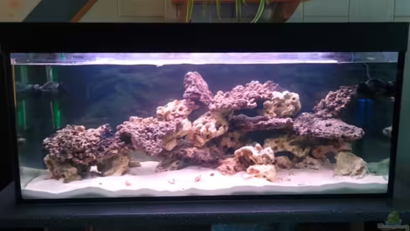 Anfang 25.05.2012 von Dirk Schäfer (2)