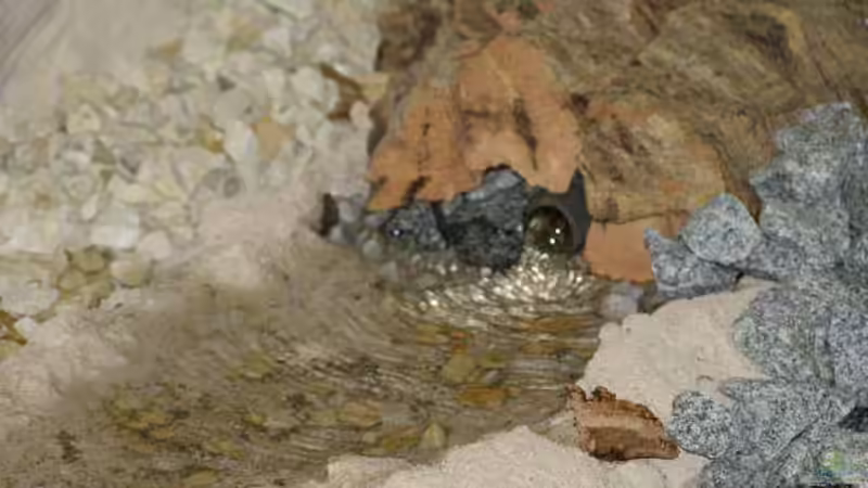 Anfang Bachlauf von SeLo (25)