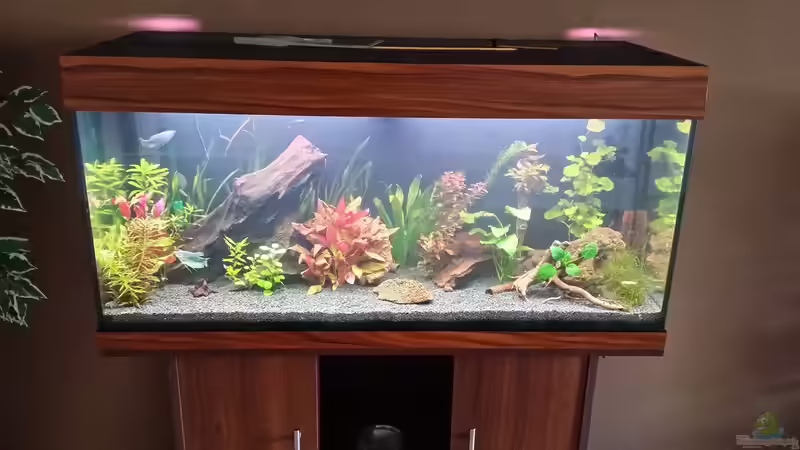 Anfang Juni 2015 von Anna-RS (2)