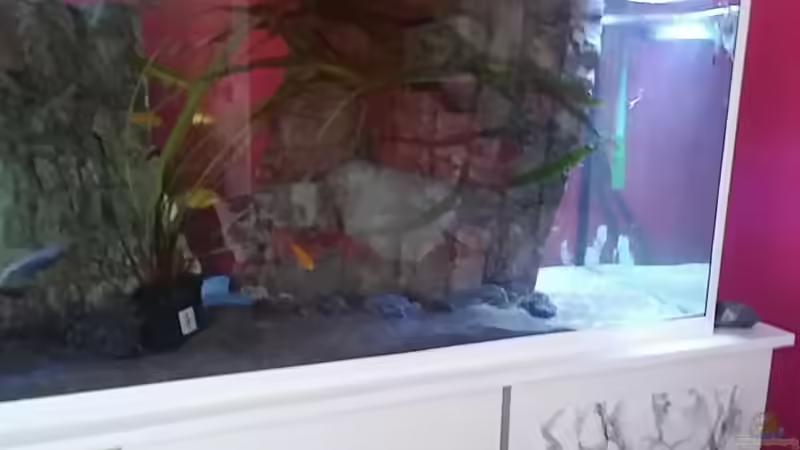 Anfang März der Anfang des Umbaues von Frank Hopp (32)