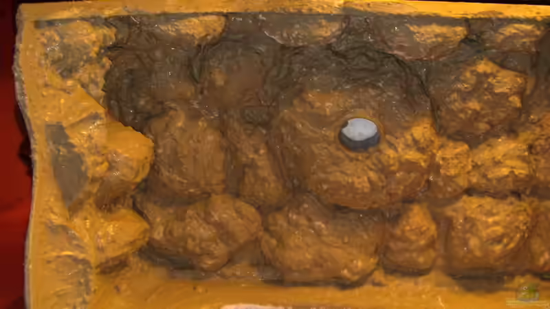 Anfang mit  Flexkleber von Frank Hopp (16)