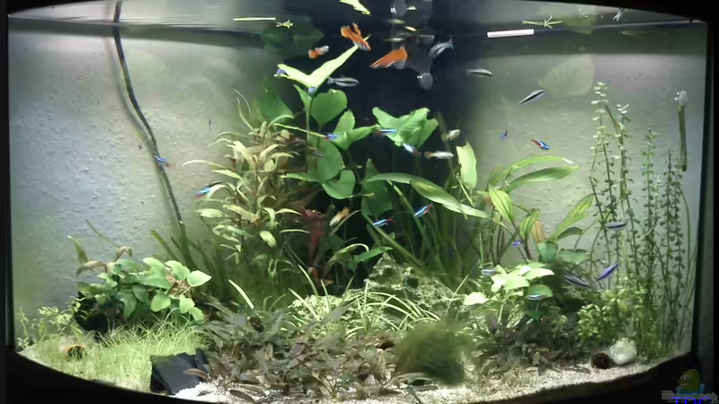 Anfang Nov von TDG (8)