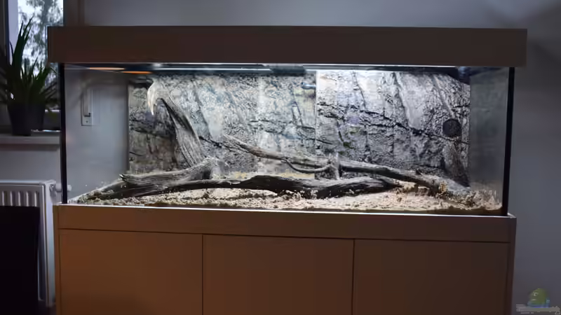 Anfang November 2014 von Christian Andreas (2)