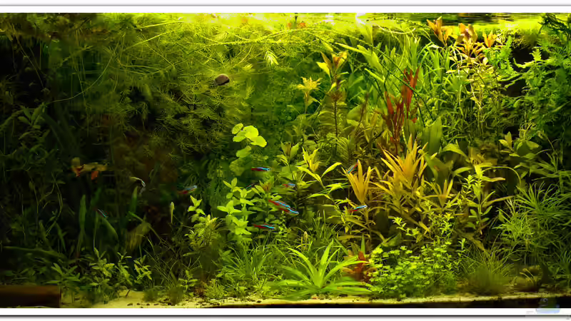 Anfang Oktober von hotwheelz (5)