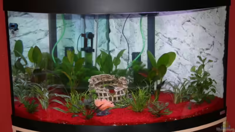 Anfangsansicht von Stefanie Mohr (2)