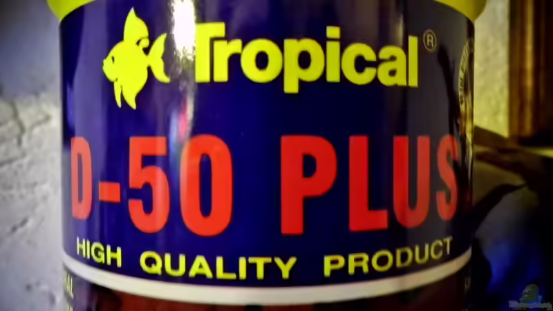 Fütterung mit Flockenfutter (Zierfischfutter)