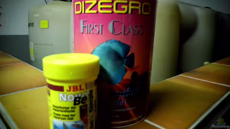 Angebotenes Futter von snooze (75)