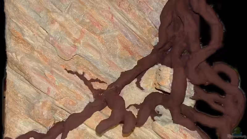 angemalt... von Palo (19)