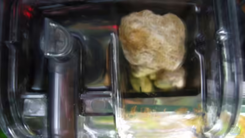 Anhängefilter mit Filtermaterial ( Lavasteine) von Aquarienfreund44 (15)