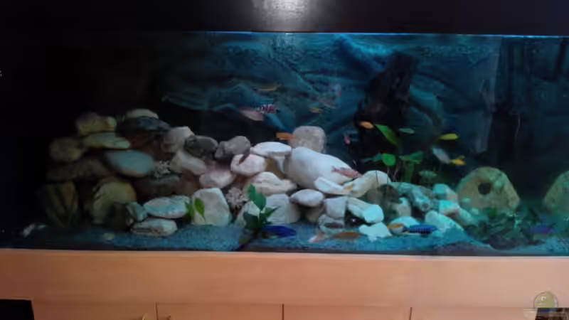 Anischt Aquarium von Marcel Wagner (1)