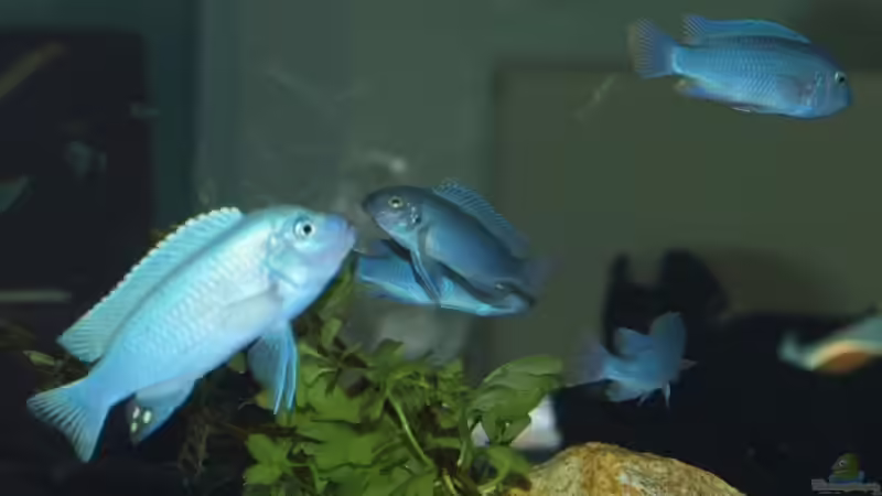 Ankunft der´Neuen´ von Meike_R (50)