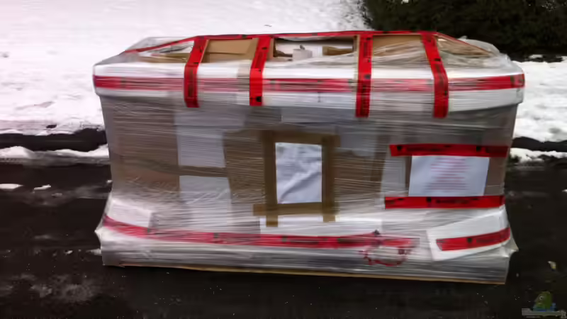 Ankunft des neuen Tanks ... Ab in den 2 ten Stock ohne Aufzug...Danke PAPA und BRUDERHERZ von Sunny73 (2)