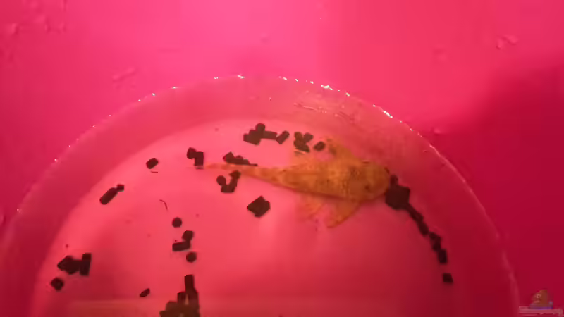 Ankunft L075 von Tanja F. (13)