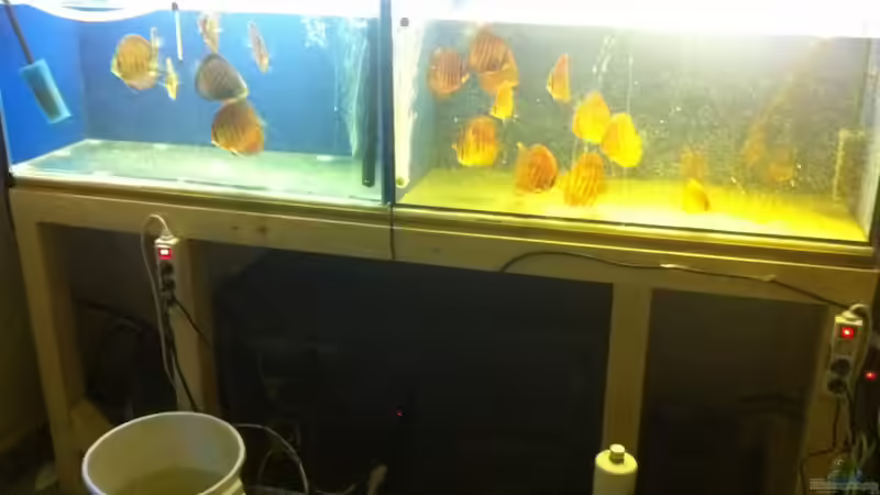 Anlage Hälterungsbecken von maxarl (53)