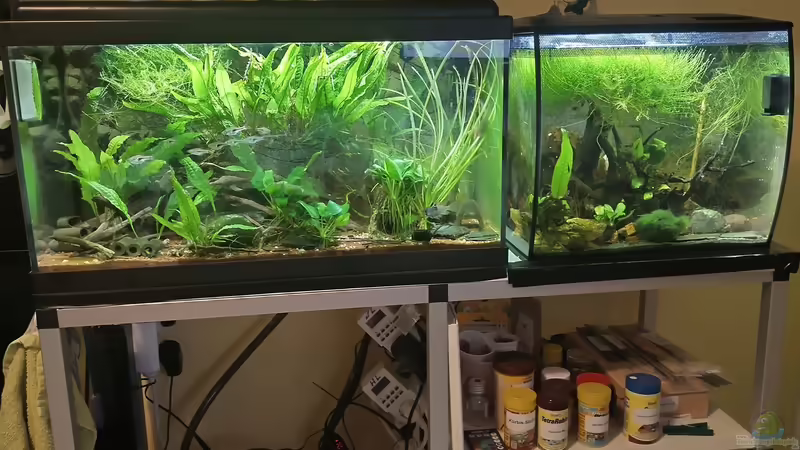 Anlage von HOTU (14)