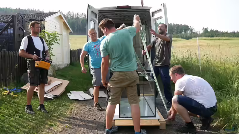 Anlieferung von DiskusMummy (11)