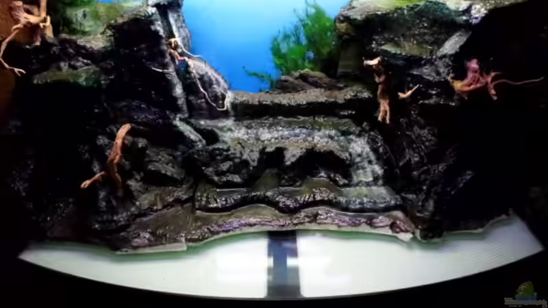 Anpassung an das Becken , kleine Feinarbeiten sind noch erforderlich von snooze (32)