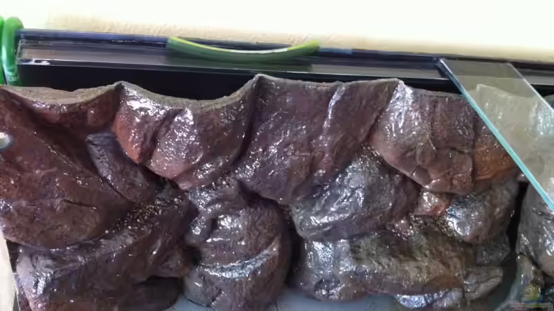 Anpassung der Rückwand links von Sunny73 (14)