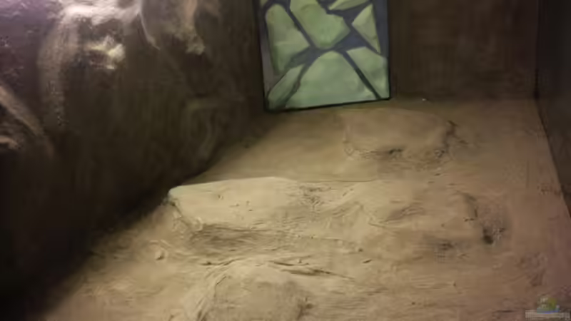 Ansaug Platte Aufbau von Jürgen Herb (16)