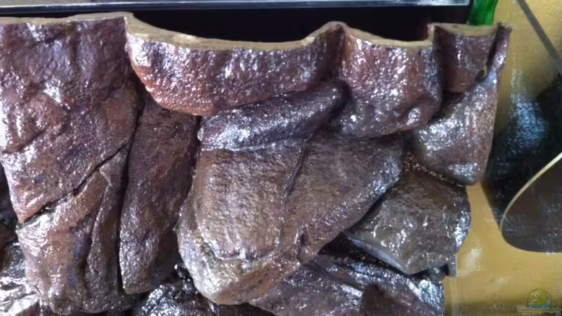 Ansaug und Strahlrohr versteckt  von Sunny73 (13)