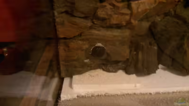 Ansauggitter für Biofilter. von raubsau (4)