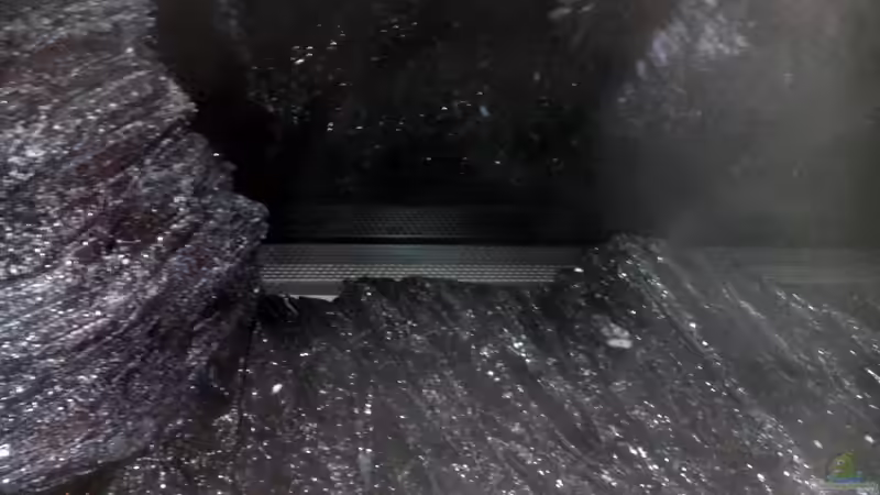 Ansauggitter hinter den Bodenfelsen von oben von Thorsten G. (25)