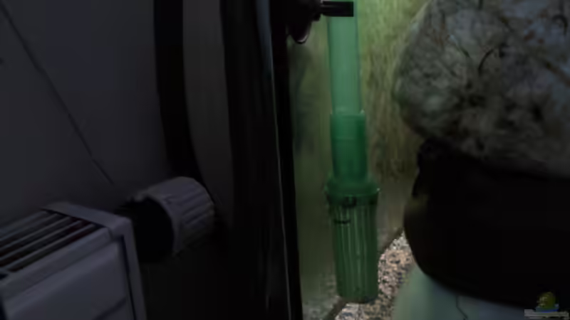 Ansaugrohr an der hinteren rechten Seitenscheibe hinter dem Steinaufbau. von mikael38 (24)