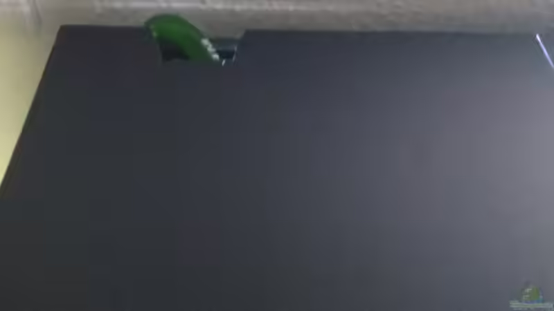 Ansaugseite links vom Eheim 250 T  von pacho (12)