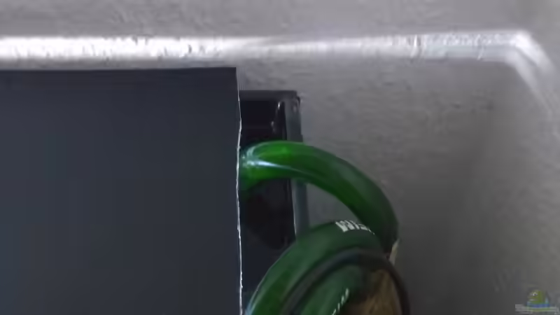 Ansaugseite rechts Eheim 350 und beide Ausläufe von pacho (13)