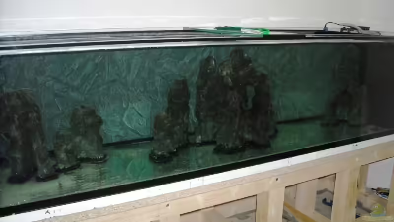 Anschließend wurde eine fertige Rückwand verklebt von Herbert (15)