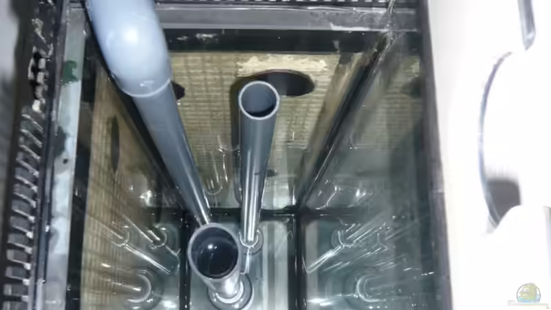 Anschlüsse Becken zum Filter von wandervogel (10)