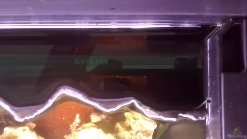 anschluß an den Filter von Marcus Egeling (8)