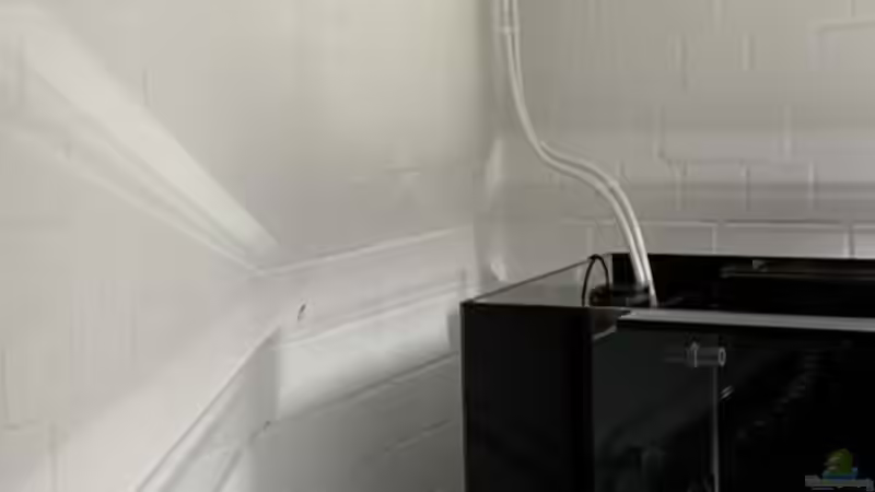 Anschluss Hausheizung von Oliver Bartels (6)