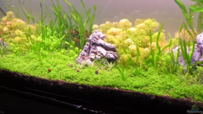 Ansicht- August 2009 von Mel&Marc (17)